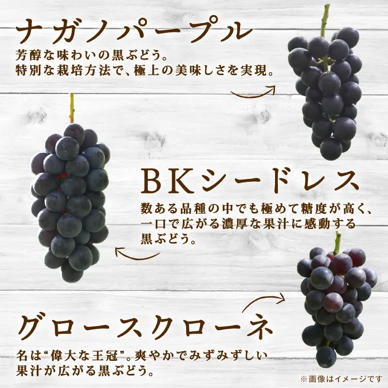 彩り豊かな完熟ぶどう バラ粒パックセット 1㎏【tbb01】