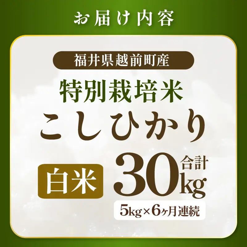 定期便 6ヶ月 新米【令和8年産】特別栽培米コシヒカリ5kg × 6回(白米）【農薬化学肥料不使用】【10月中旬以降発送】 [e81-j001_01]
