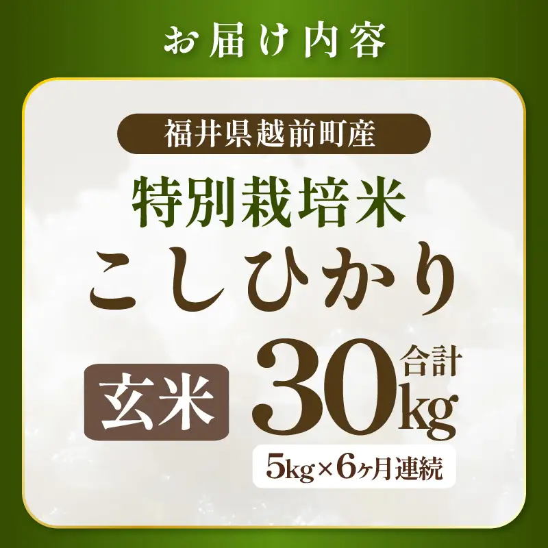 「定期便 6ヶ月」新米【令和8年産】特別栽培米コシヒカリ5kg × 6回(玄米）  福井県認証区分1取得【10月中旬以降発送】 【農薬化学肥料不使用】 [e81-j001_02]