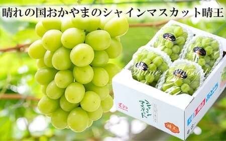 ご家庭用 シャインマスカット 晴王 約400g×1房【2026年8月下旬～11月下旬まで順次発送予定】 マスカット 葡萄 ぶどう ブドウ 果物 フルーツ 岡山県 倉敷市