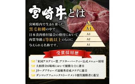 宮崎牛 ミスジ ステーキ  2枚 計300g  牛肉 黒毛和牛 赤身 霜降り ステーキ 