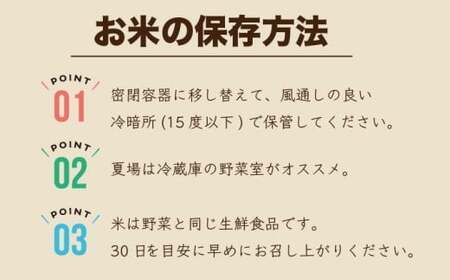 【3ヶ月連続定期便】数量限定 令和7年産 夢つくし 精米 10kg〔5kg×2袋〕×3ヶ月 [M936-1] ごはん コメ ご飯 精米 白米 ブランド米 