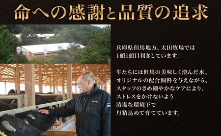 訳あり 神戸牛 切り落とし肉 ITS1 400g　神戸ビーフ ブランド牛 和牛 国産 牛肉 