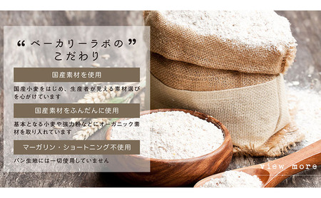 デニッシュ bakery labo 定番プレーン 国産小麦 デニッシュ【1本】【冷凍】
