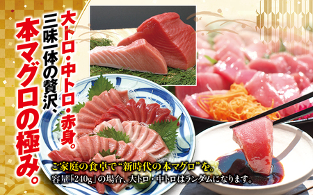 まぐろ 本マグロ 大トロ&中トロ＆赤身セット 500g（養殖)  【配達日指定不可】【nks110D】