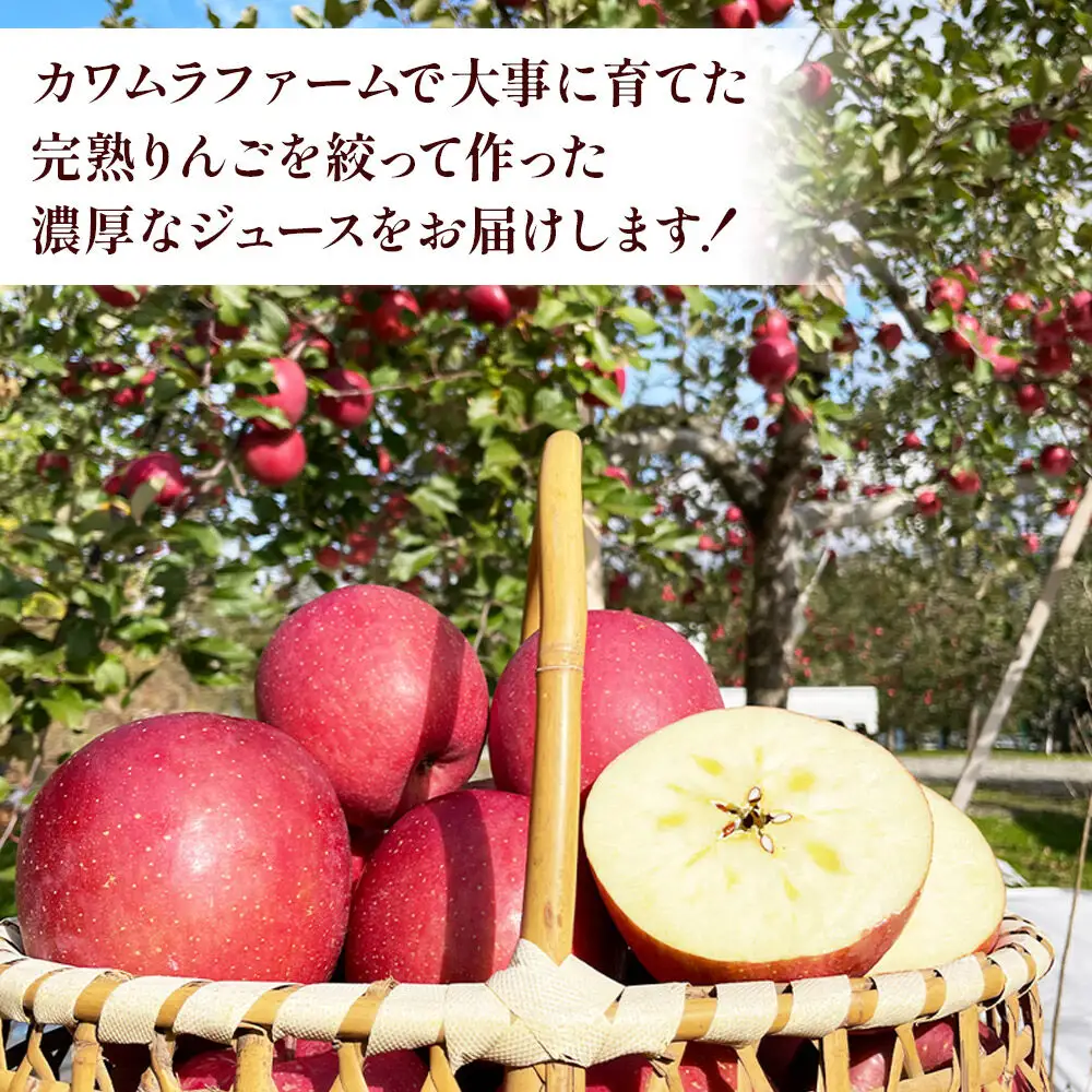 【27年1月～発送】りんごジュース 無添加 飲み比べ 3種【葉とらずふじ・王林・千雪】1L×3本 先行受付 カワムラファーム