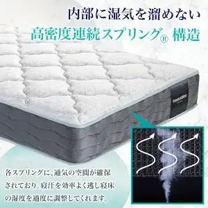 フランスベッド テレス01F 脚付きタイプ シングル マットレス付き