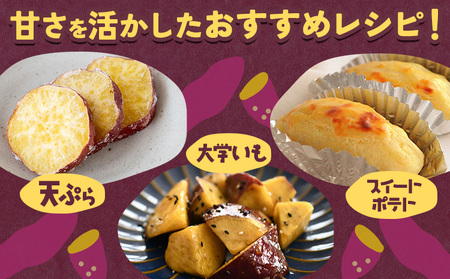 【先行予約】訳あり さつまいも 紅はるか 約10kg 株式会社シグマサポート《2026年10月中旬-12月中旬頃出荷予定(土日祝除く)》さつまいも 