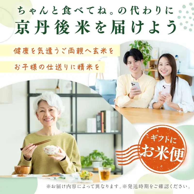 冷凍おにぎり 丹後コシヒカリ 塩おむすび10個｜おにぎり