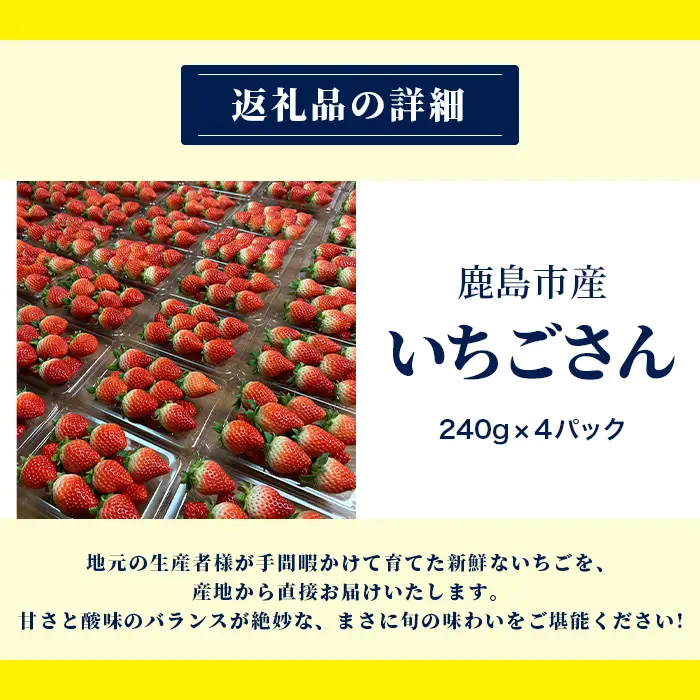 先行受付 いちごさん 240g×4P【生産者直送】いちご イチゴ  佐賀県 鹿島市【2027年2月頃～4月頃の発送予定】B-891