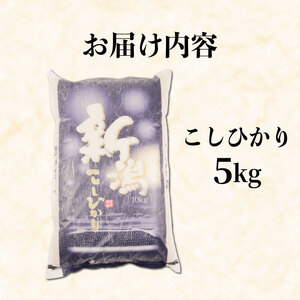 【令和7年産】こしひかり 5kg 精米 5kg x 1袋 白米 新潟県 新発田市 [noguchi003_02]