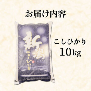 【令和7年産】こしひかり 10kg 精米 10kg x 1袋 白米 新潟県 新発田市 [noguchi004_02]