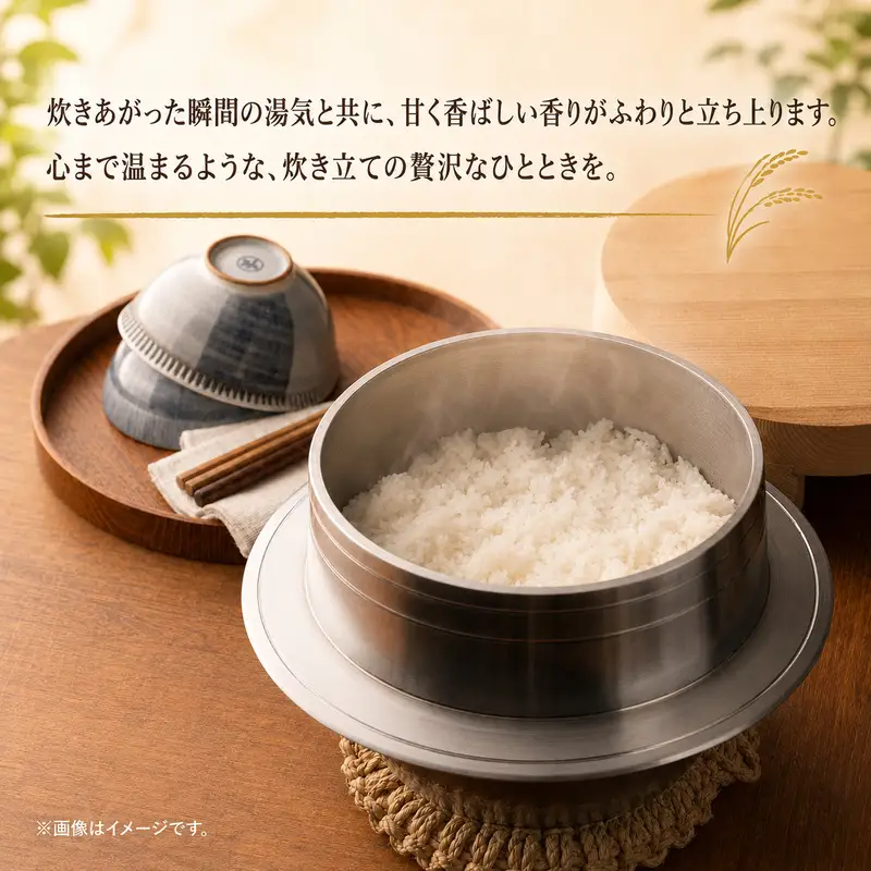 きぬむすめ 精米 白米 静岡県産 きぬむすめ【10kg(5kg×2)】