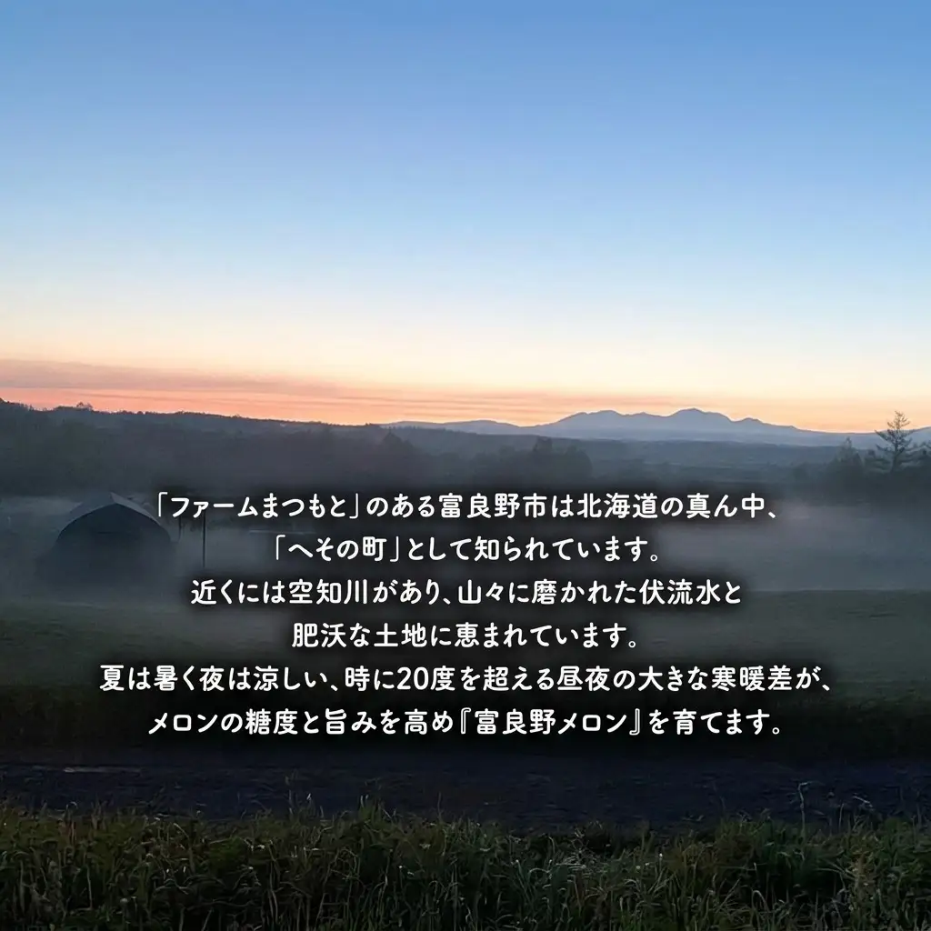 富良野メロン 赤肉 糖度15度以上 ファームまつもと メロン【5玉 8kg】