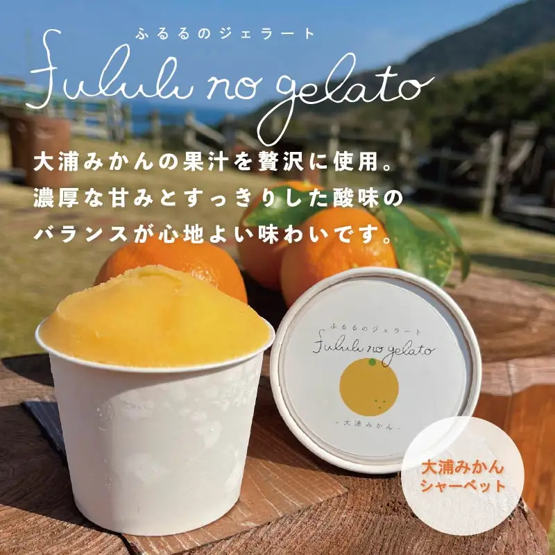 舞鶴ふるるファーム 手作りジェラート 6種セット
