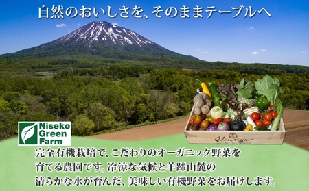 かぼちゃ オーガニック デリカタ 北海道産 かぼちゃ【約5kg】