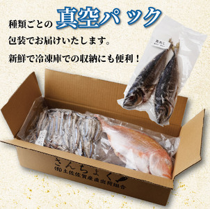 冷凍鮮魚セット 1kg(2~4種) 下処理済み 冷凍鮮魚［1713］