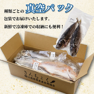 冷凍魚セット 2kg(4~8種) 下処理済み 冷凍鮮魚［1714］