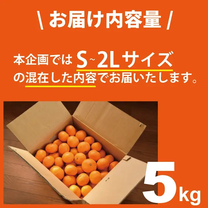 【先行予約】 佐賀県産 みかん（5kg）　潮風ファーム 大津 柑橘 温州みかん  B140-073