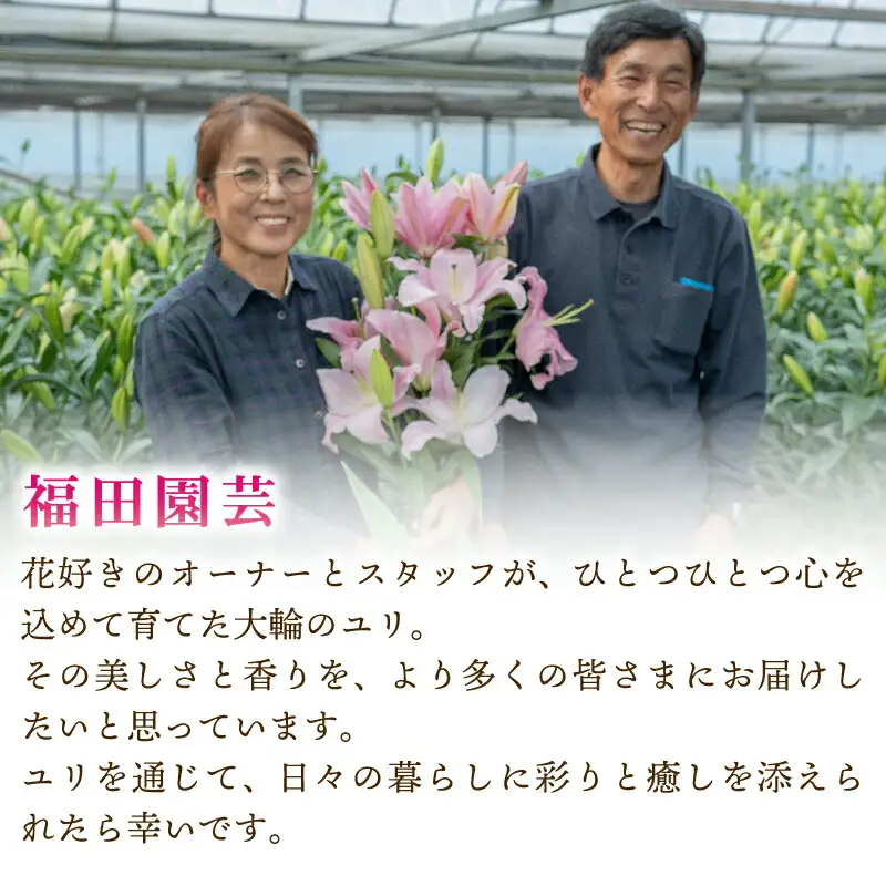  ユリ(オリエンタルリリー)5本 6ヶ月定期便【ユリ】