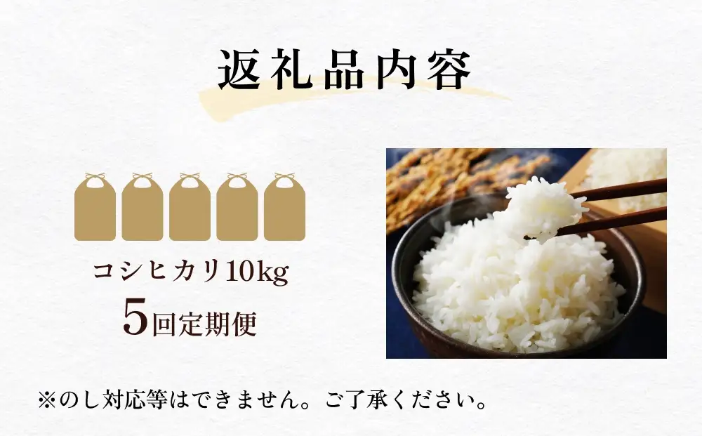 【5回定期便】富山県産 コシヒカリ 10kg 富山県 氷見市 米 コシヒカリ 定期便