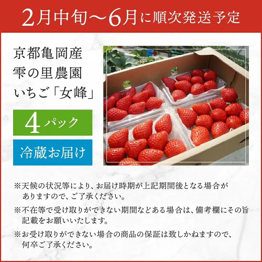 【来シーズン先行予約】京都亀岡産 雫の里農園 いちご【女峰】4パック ※化学肥料・農薬極力不使用