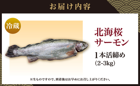 北海桜サーモン 1本活締め 2~3kg 新鮮 刺身 冷蔵 陸上養殖 生食可 桜色 トラウト サーモン 鮭 生鮭 サケ さけ 一本 1匹 一匹 姿 まるごと 国産 北海道産 道産 松前産 産地直送 お取り寄せ 海鮮 鮮魚 魚介 活〆 グルメ 北海道 松前町 送料無料 MATP001