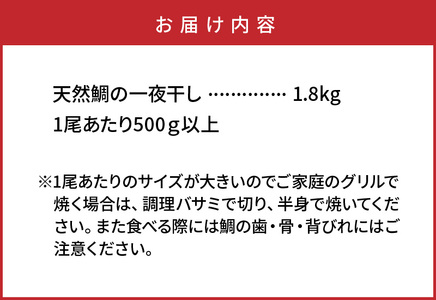 驚愕の大きさ！訳あり天然鯛の一夜干し1.8kg _1554R