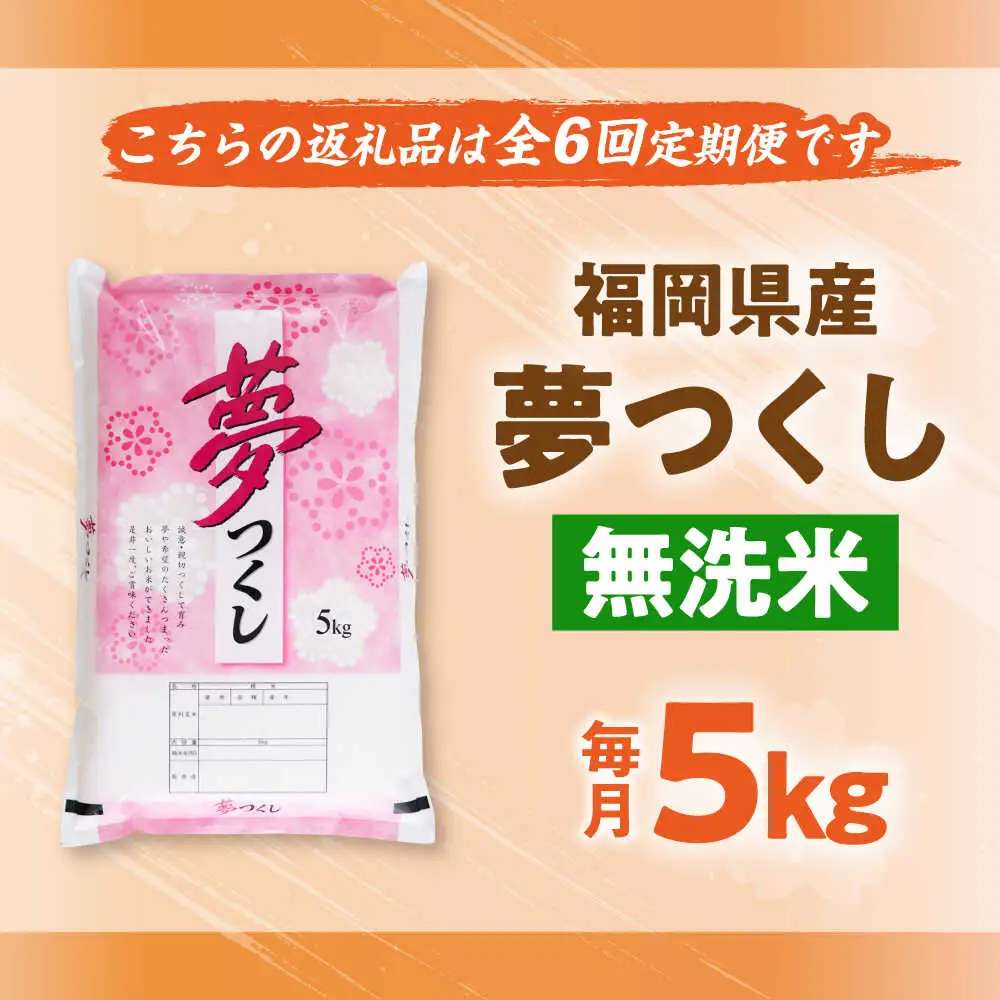 【全6回定期便】【令和7年度産】無洗米 無洗米 夢つくし 5kg 精米[BGBV015]