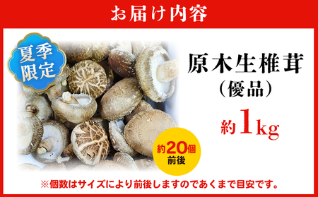 ＜冬季限定 原木生しいたけ 優品 約1kg＞ 20個前後 原木生椎茸 しいたけ シイタケ きのこ 優品 バーベキュー BBQ すき焼き しゃぶしゃぶ 料理 国産 愛媛県産 横林自治振興協議会 愛媛県 西予市【冷蔵】『11月中旬～3月上旬に順次出荷予定』NYJ0008