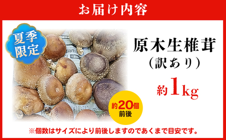 ＜冬季限定 原木生しいたけ 訳あり 約1kg＞ 20個前後 原木生椎茸 しいたけ シイタケ きのこ 家庭用 バーベキュー BBQ すき焼き しゃぶしゃぶ 料理 国産 愛媛県産 横林自治振興協議会 愛媛県 西予市【冷蔵】『11月中旬～3月上旬に順次出荷予定』NYJ0009