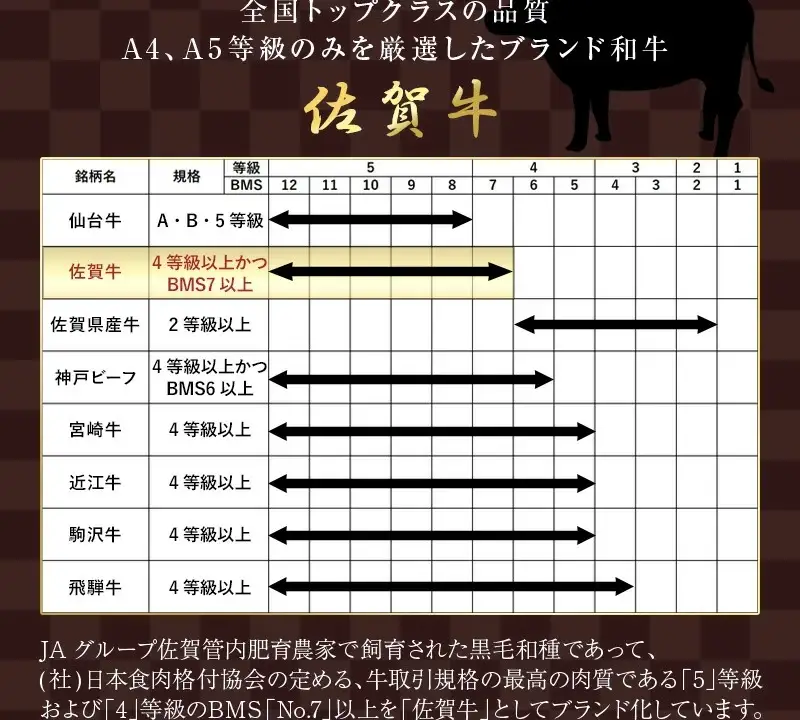 【8月中の発送】佐賀牛希少部位100g×6種類(合計600g) にくのともる厳選 焼肉用 A5～A4等級 食べ比べ ギフト キャンプ