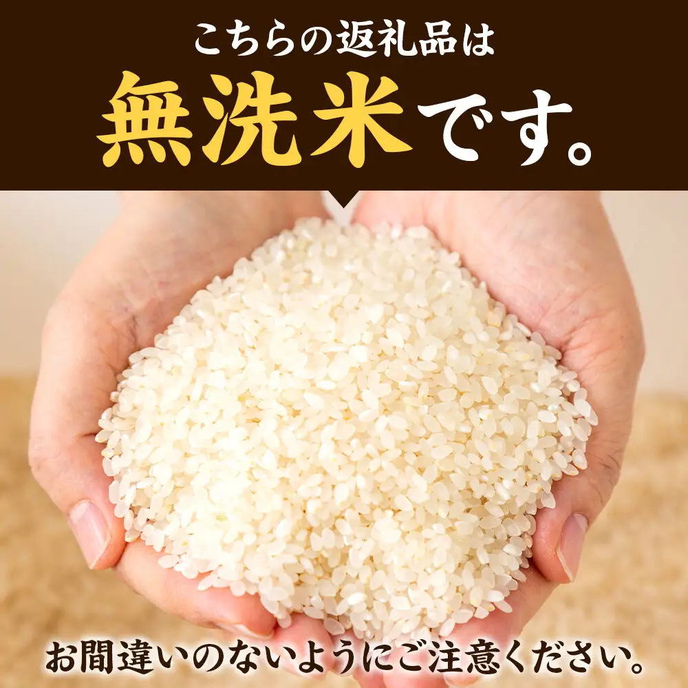 ＜令和8年産 新米受付＞《定期便5ヶ月》米 あきたこまち【無洗米】5kg 秋田県大仙市産 精米 令和8年産