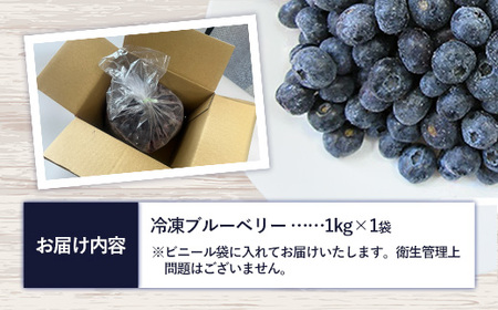 【訳あり】岩手町産冷凍ブルーベリー1kg フルーツ 果物 くだもの おやつ スイーツ デザート ジャム スムージー ヨーグルト お菓子作り 冷凍 訳あり 加工用 業務用 岩手県 岩手町 岩手缶詰