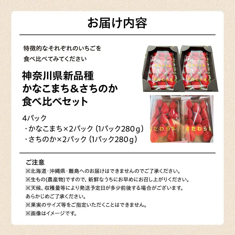 【期間限定・数量限定！】神奈川県新品種「かなこまち＆さちのか」食べ比べセット　完熟イチゴ　苺　4パック入り |  フルーツ 果物 食べ比べ セット 神奈川県 小田原市