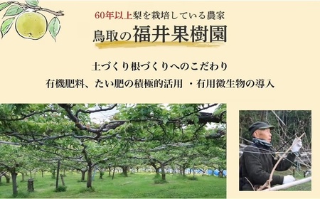 【期間限定】令和8年産 輝太郎 2kg 6玉～10玉（柿） フルーツ 先行予約 柿 倉吉産 ブランド柿 果物 数量限定
