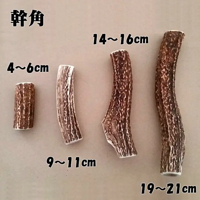 えぞ鹿カット角【約10cm×3本】※トリーツ_I020-0434