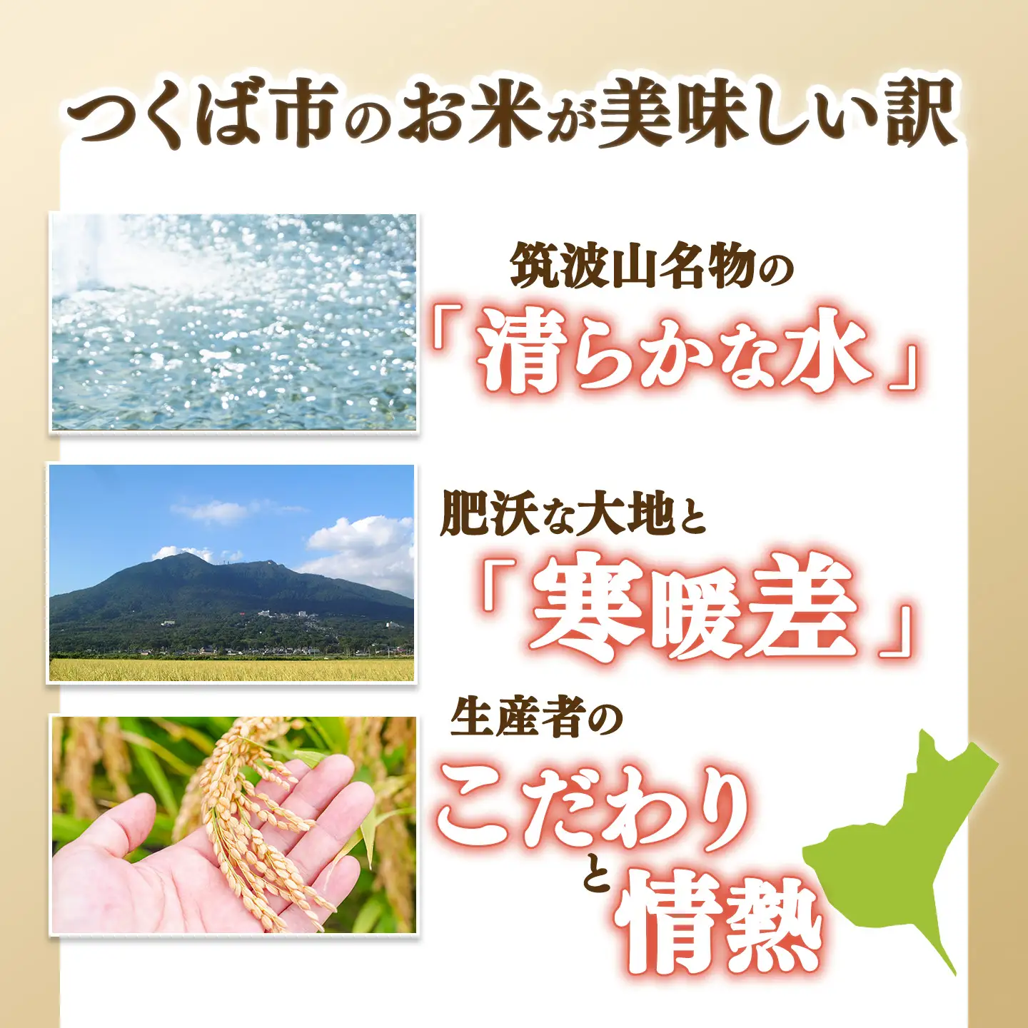 米 令和7年産 コシヒカリ10kg 精米 こしひかり