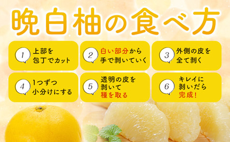 晩白柚 2玉 2Lサイズ ばんぺいゆ 熊本《12月上旬-1月末頃出荷》熊本県 氷川町 果物 フルーツ 熊本県産 晩白柚 ばんぺいゆ