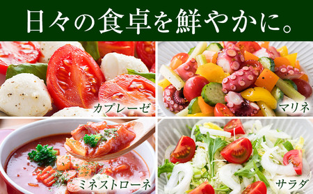 【先行予約】トマト 3kg 熊本 氷川アグリクラブ | ミニトマト