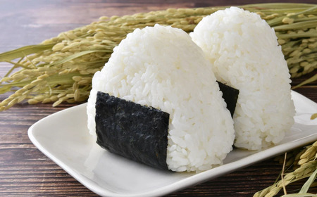 【令和8年産早期予約】お米定期便 丹波篠山産コシヒカリ〈 精米 10kg × 12回 〉計120kg お米定期便 [SUBSC-DP22]