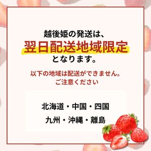 【先行予約 苺】 越後姫3L～2L 24粒 or 30粒  新発田市 苺 sugai002_02