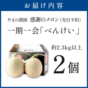 感謝のメロン 「べんけい」 2玉 ≪先行予約≫ フルーツ メロン【1269-1】