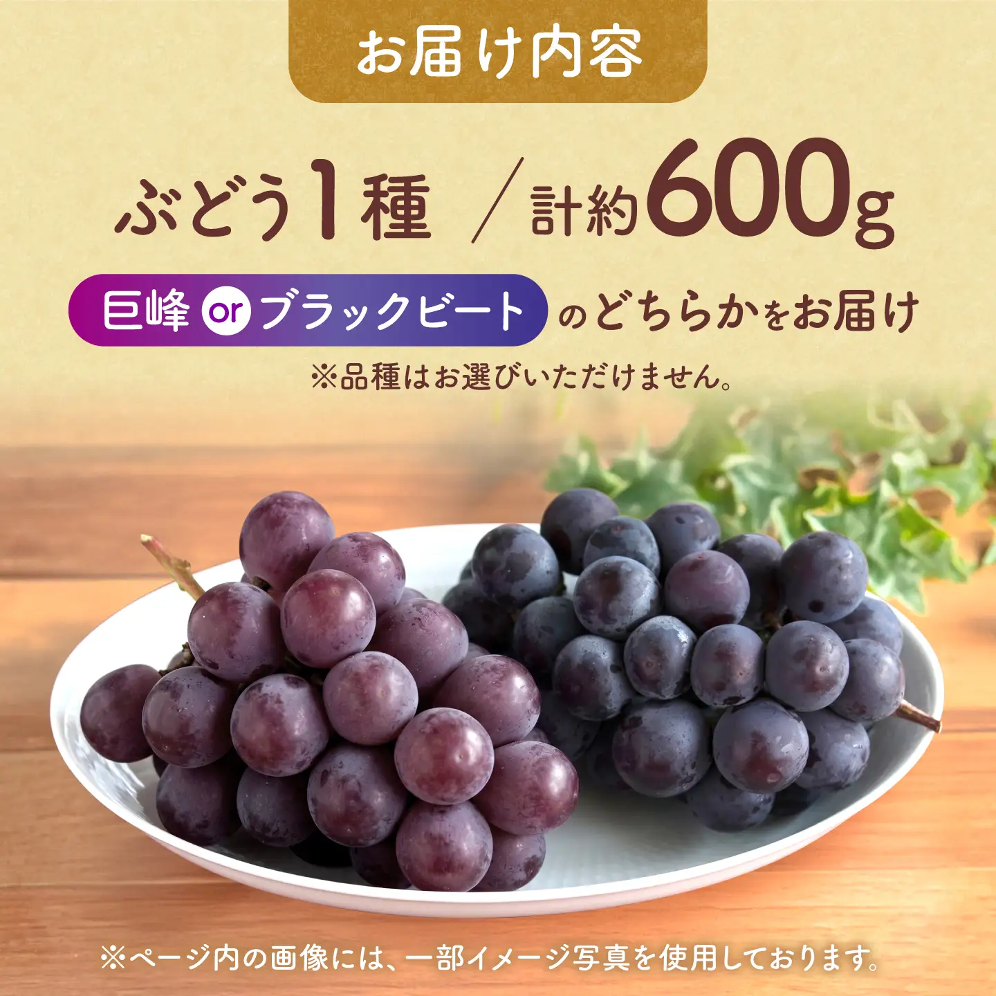 先行予約 訳あり人気の黒ぶどう(巨峰orブラックビート)約600g葡萄ぶどうブドウZFO007