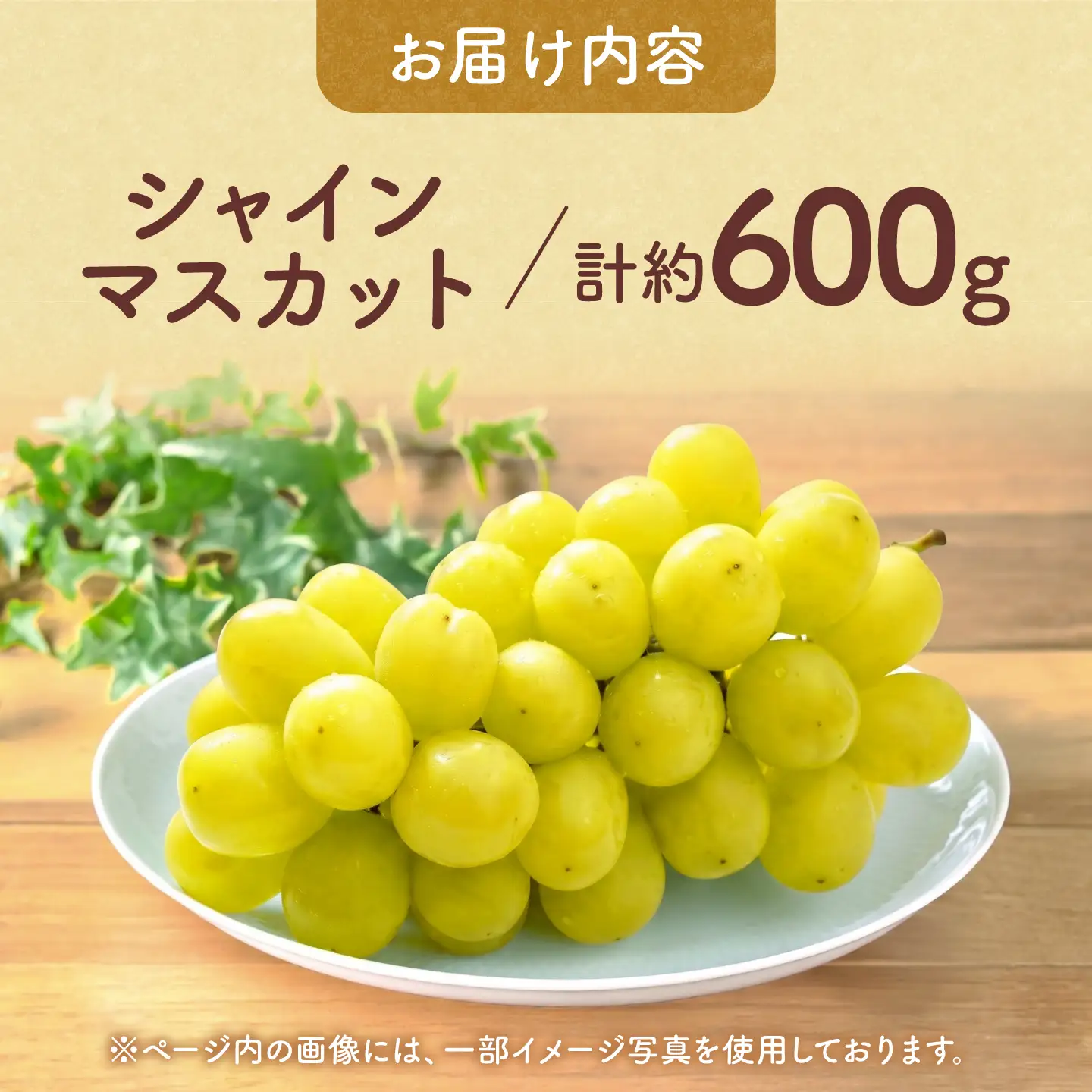 先行予約 訳ありこだわりのシャインマスカット約600gぶどう葡萄シャインマスカットZFO008
