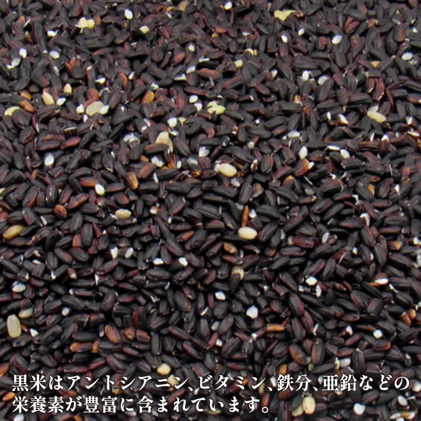 古代米セット 計3kg （黒米・赤米・緑米） [JDB126]