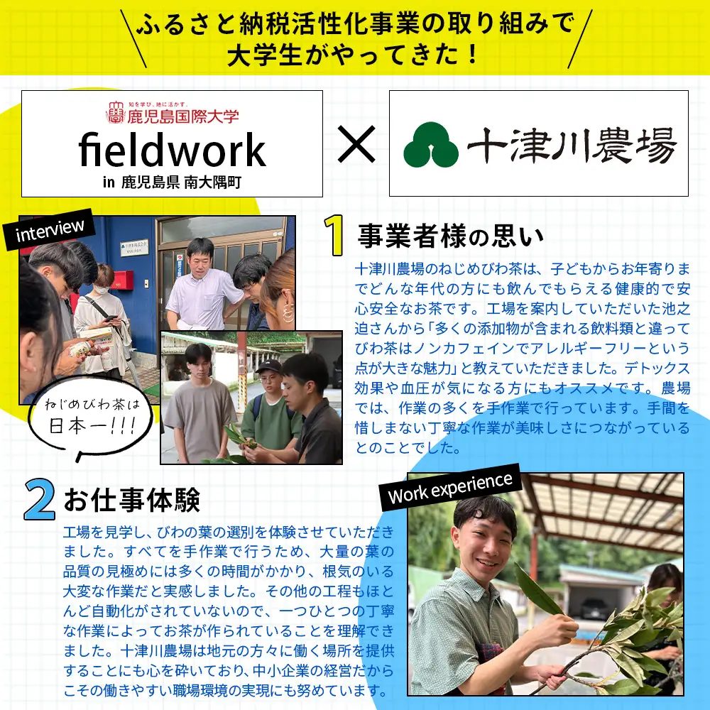 【定期便12回連続・大人気２種セット】鹿児島県産 ねじめびわ茶 ティーバッグ（24包入×2袋）おひとりさま（7包入×2袋） TO-21-NP | 国産 お茶 健康茶 ポリフェノール ノンカフェイン 無香料 無着色 さわやか 甘み 香ばしい おいしい びわの葉 トルマリン石焙煎 産地直送 鹿児島県 南大隅町 十津川農場