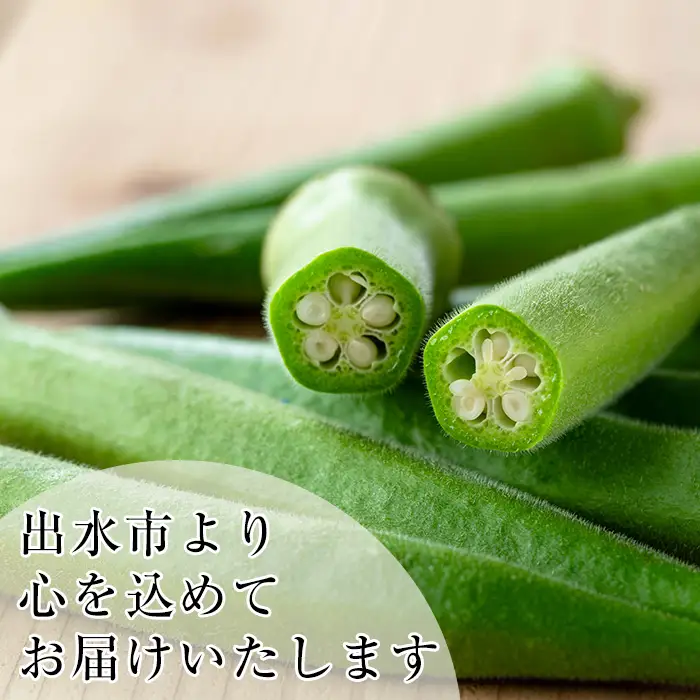 いずみ産 丸 オクラ 1.2kg 【イーサイドライン】 i1215-B