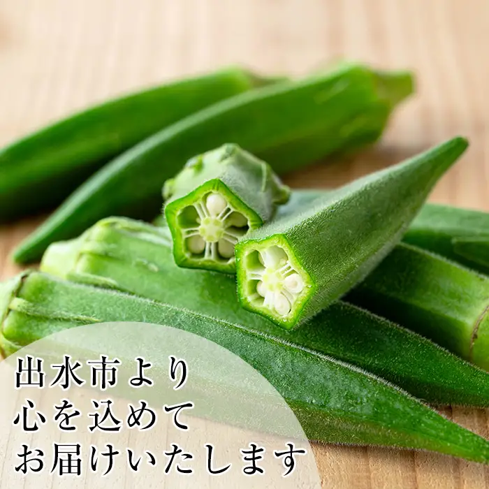 いずみ産 オクラ 新たな品種・ジュピター 1.2kg 【イーサイドライン】 i1216-B
