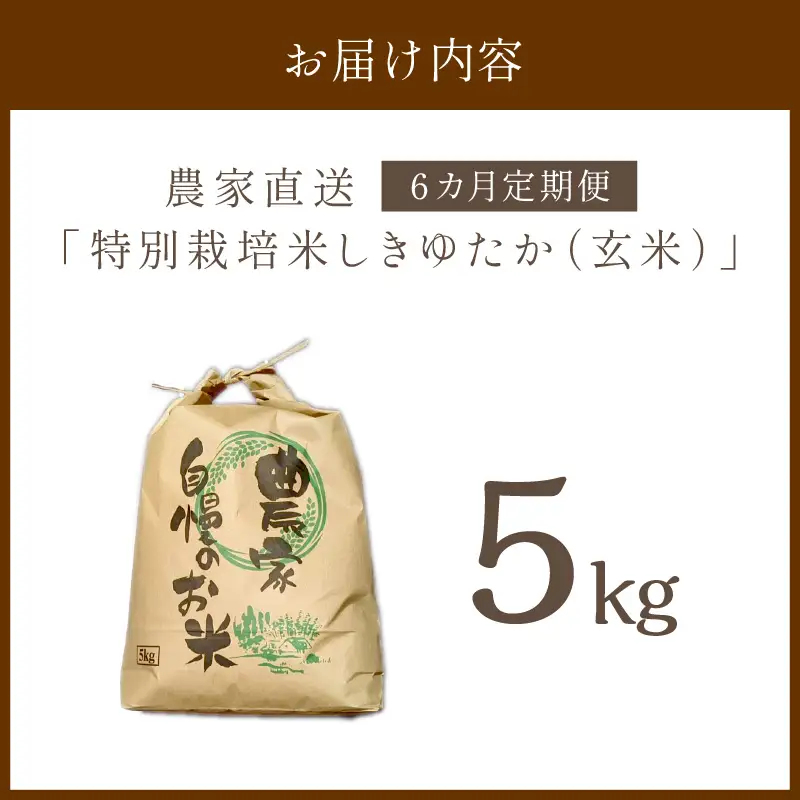 【6ヶ月定期便】2026年産 京都・京丹後峰山 特別栽培米しきゆたか 5kg 【玄米】米 定期便 玄米 しきゆたか
